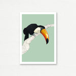 EVERYDAY CARD <br> NATURAL HISTORY <br> Toucan