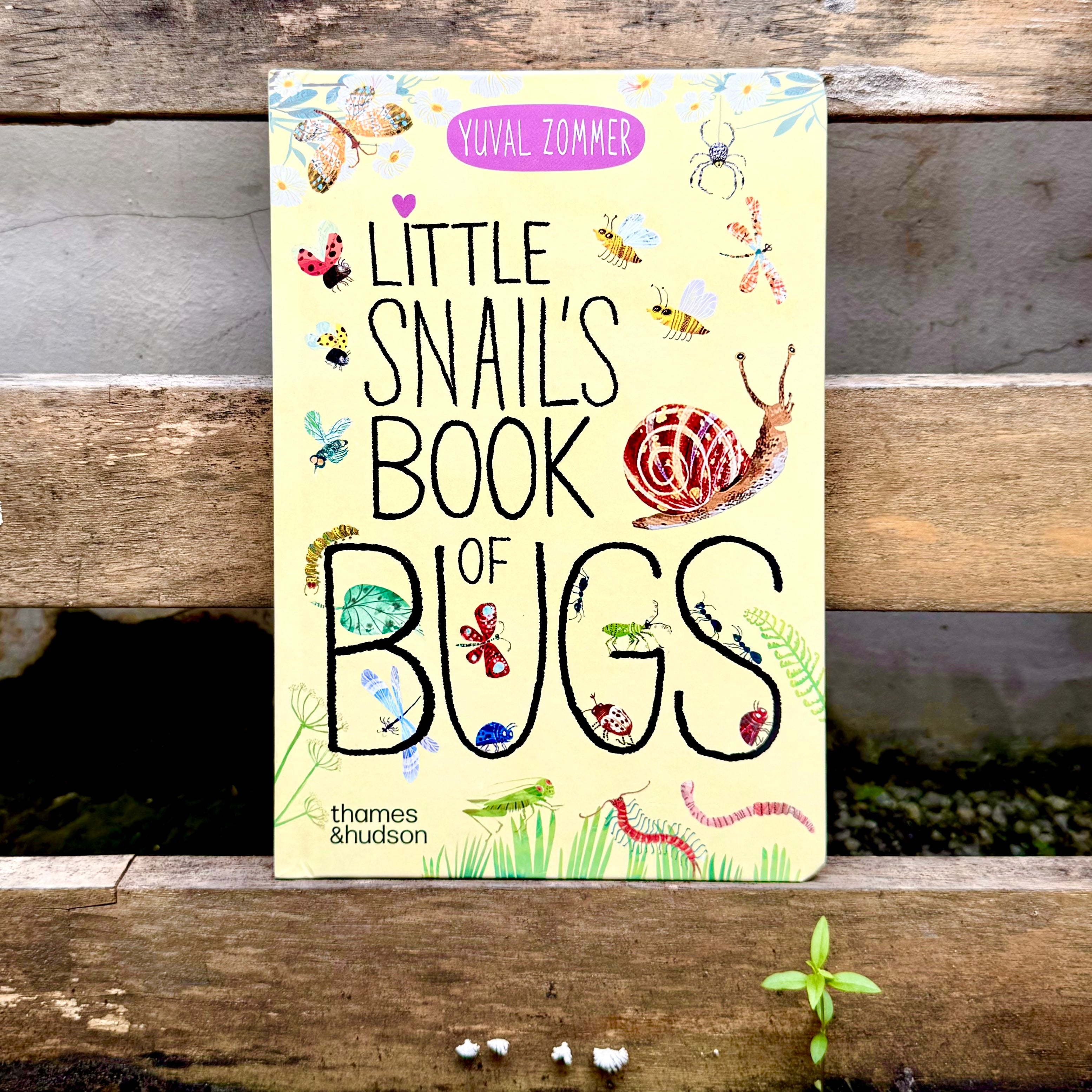 Little Snail’s Book of Bugs | Books | Illustrated Picture Books