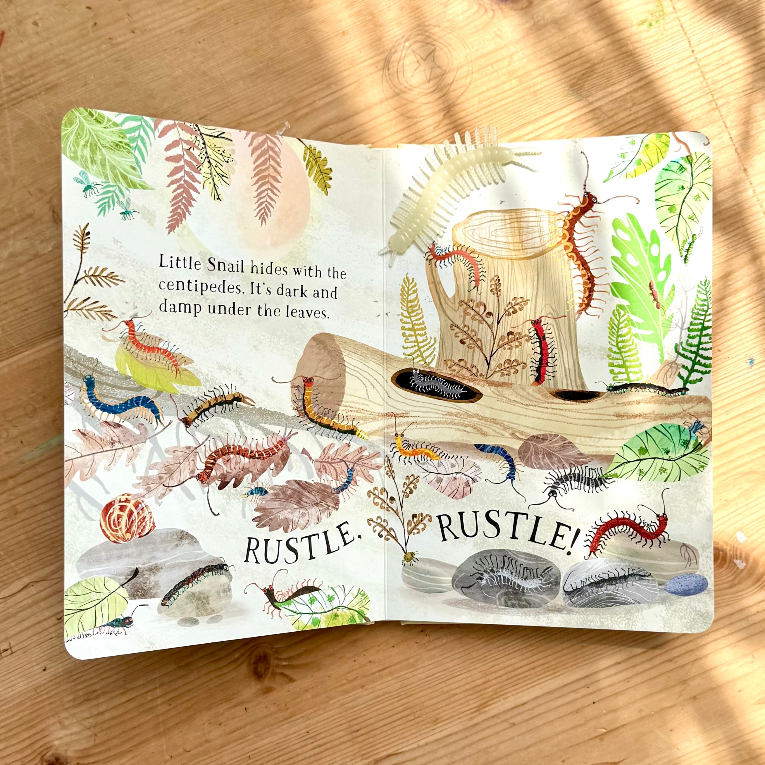 Little Snail’s Book of Bugs | Books | Illustrated Picture Books