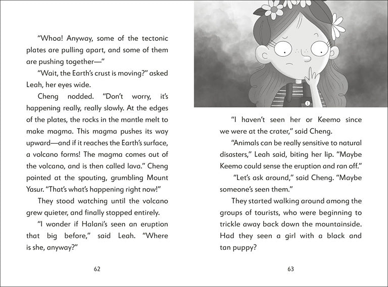The Secret Explorers and the Smoking Volcano (Book #06)