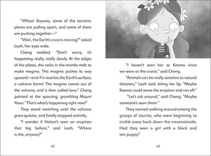 The Secret Explorers and the Smoking Volcano (Book #06)