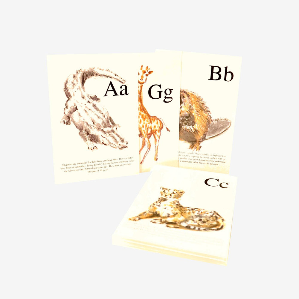 Sample postcards A, B, C, G from the Woods in the Books A-Z Animal Postcard set