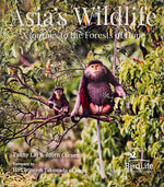 Asia's Wildlife: A Journey to the Forests of Hope