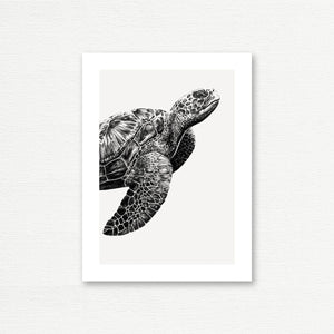 EVERYDAY CARD <br> INK & SHADOW <br> Sea Turtle