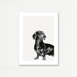 EVERYDAY CARD <br> INK & SHADOW <br> Daschund