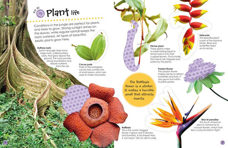 Jungle Ultimate Sticker Book