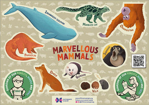 Marvellous Mammals