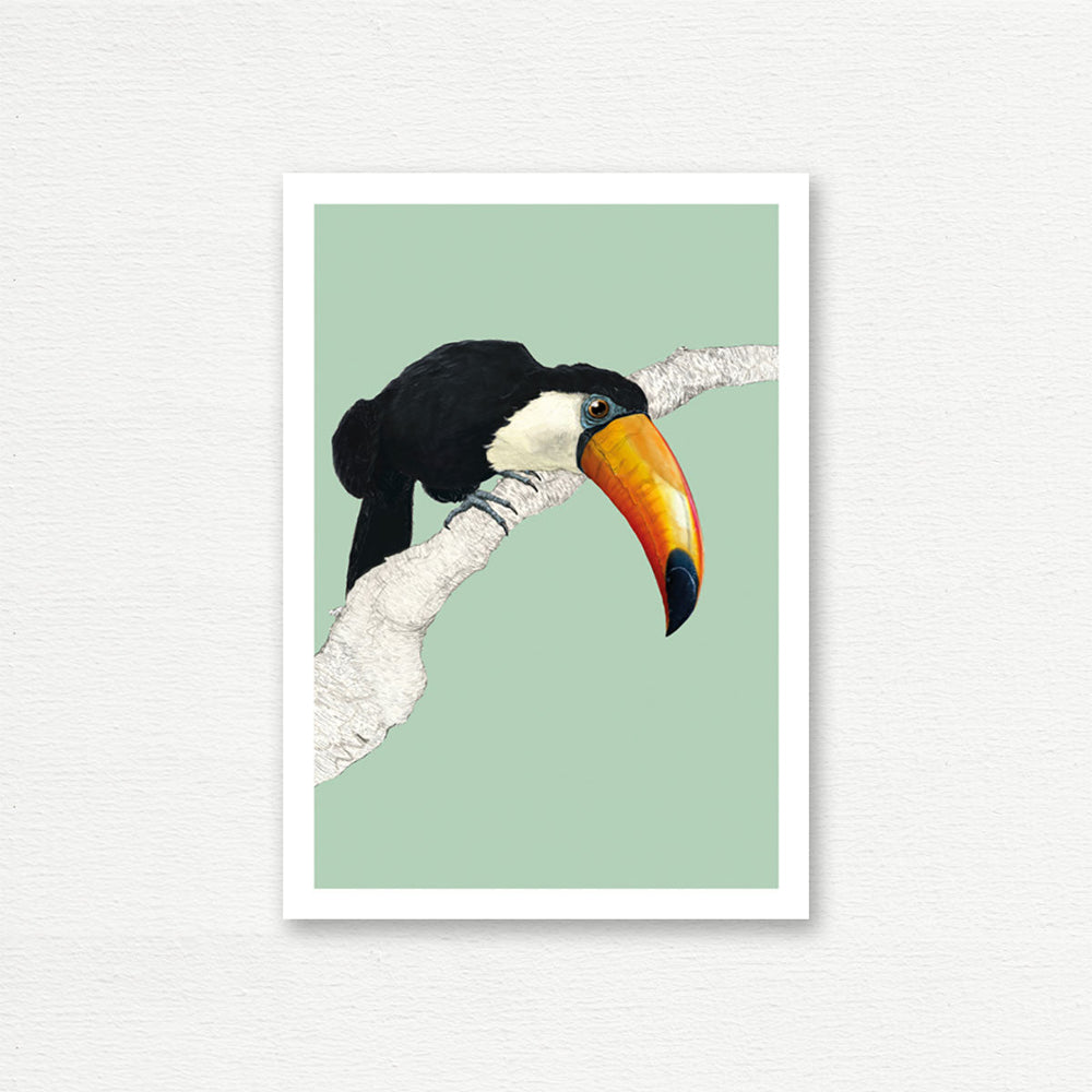 EVERYDAY CARD <br> NATURAL HISTORY <br> Toucan