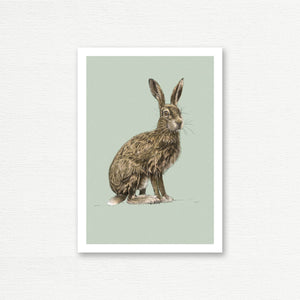 EVERYDAY CARD <br> NATURAL HISTORY <br> Hare