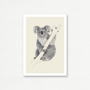 EVERYDAY CARD <br> NATURAL HISTORY <br> Koala