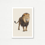 EVERYDAY CARD <br> NATURAL HISTORY <br> Lion
