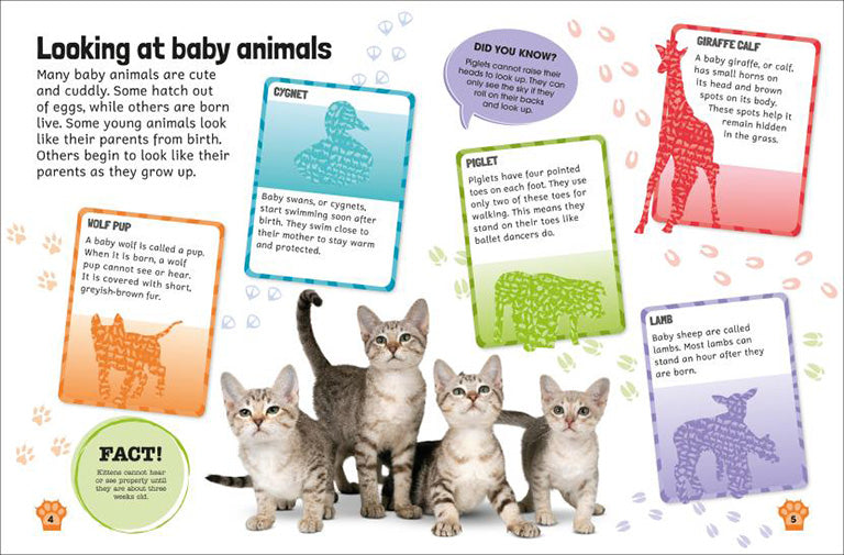 Sticker Encyclopedia Baby Animals