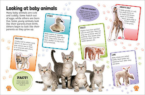 Sticker Encyclopedia Baby Animals