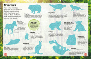 Sticker Encyclopedia Baby Animals