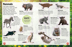 Sticker Encyclopedia Baby Animals