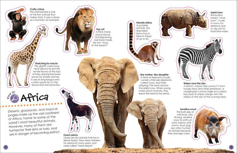 Ultimate Sticker Book Animals | Books | Illustrated Picture Books