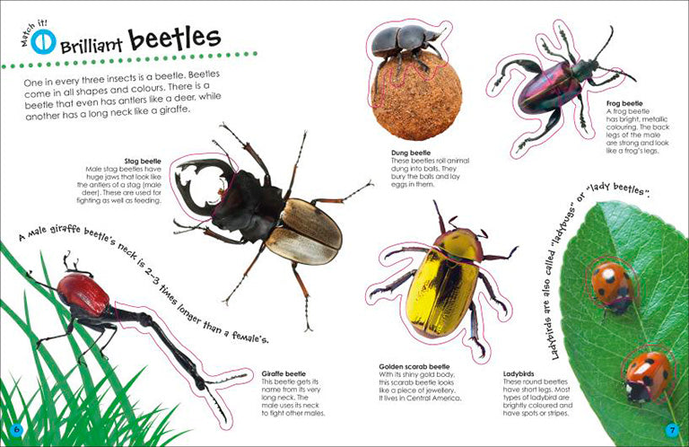 Ultimate Sticker Book Bugs | Books | Illustrated Picture Books
